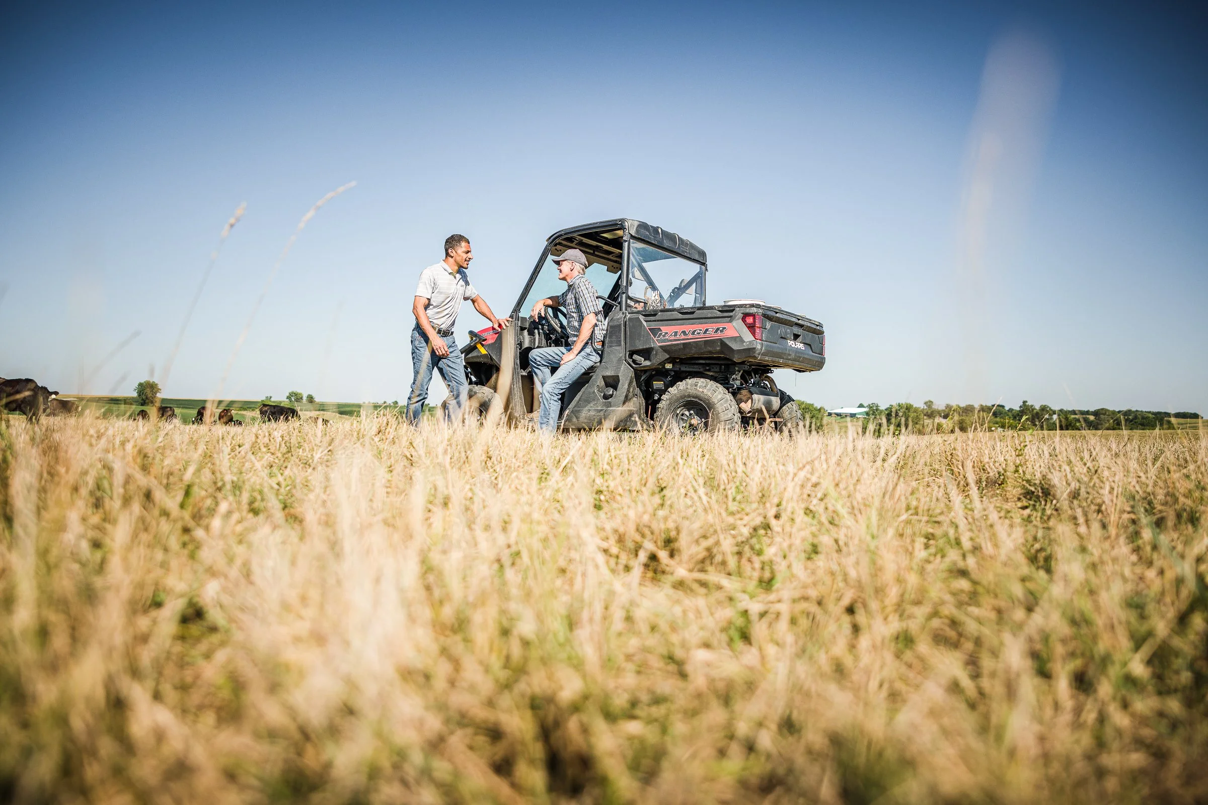Two men talking next to an ATV on a grassy field with cows in the background under a clear blue sky
