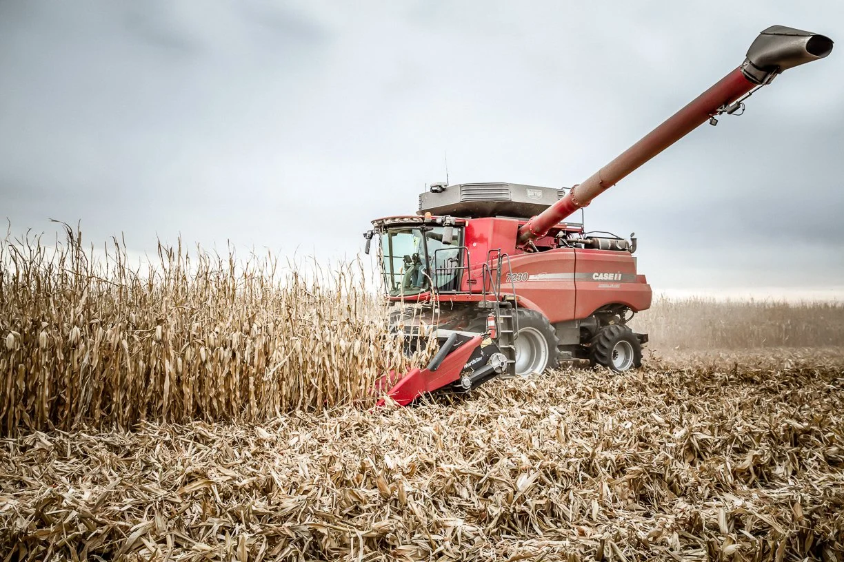Red combine harvester working in a cornfield on a cloudy day.