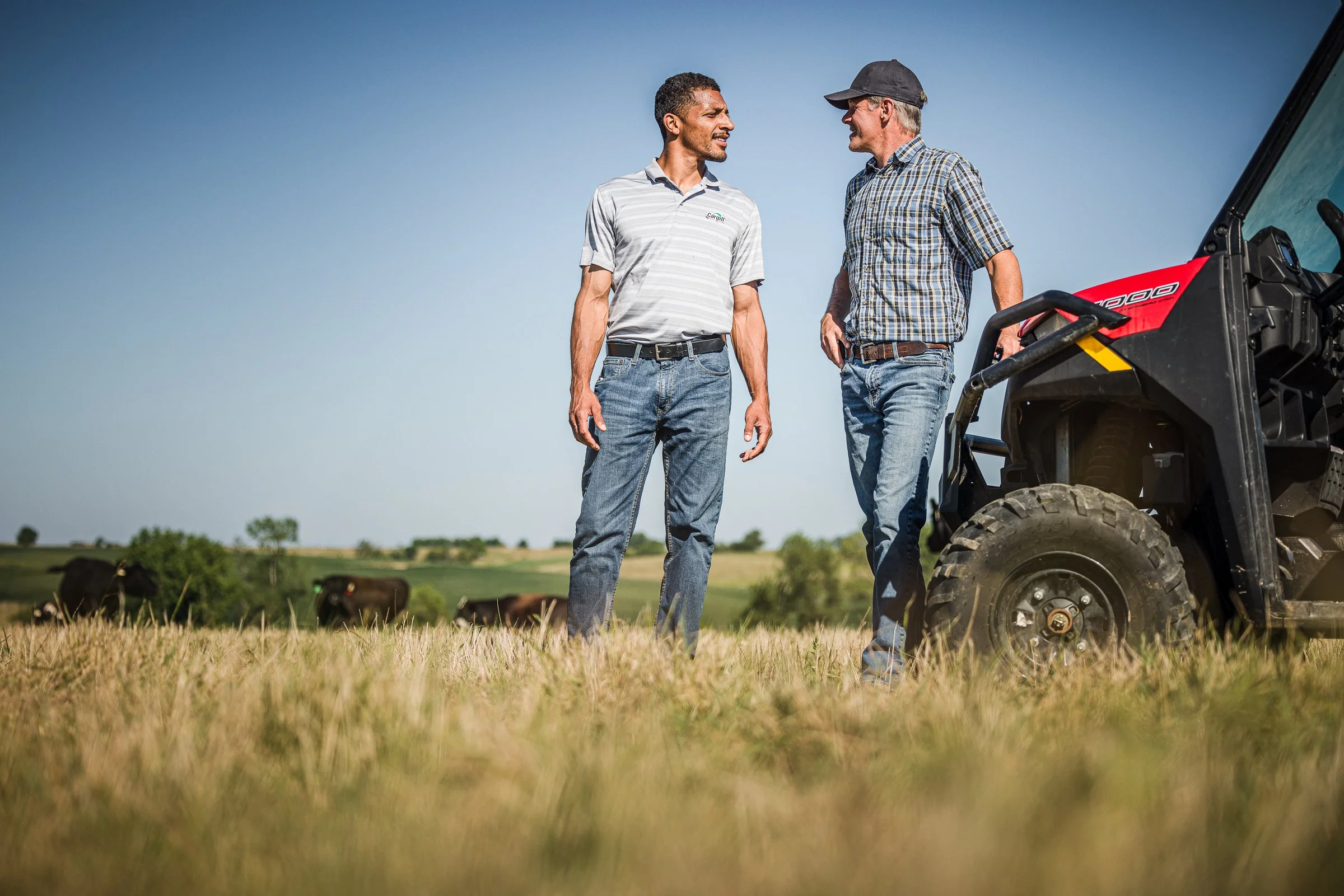 Two men standing in a field having a conversation near a red utility vehicle, with cows grazing in the background on a clear day.