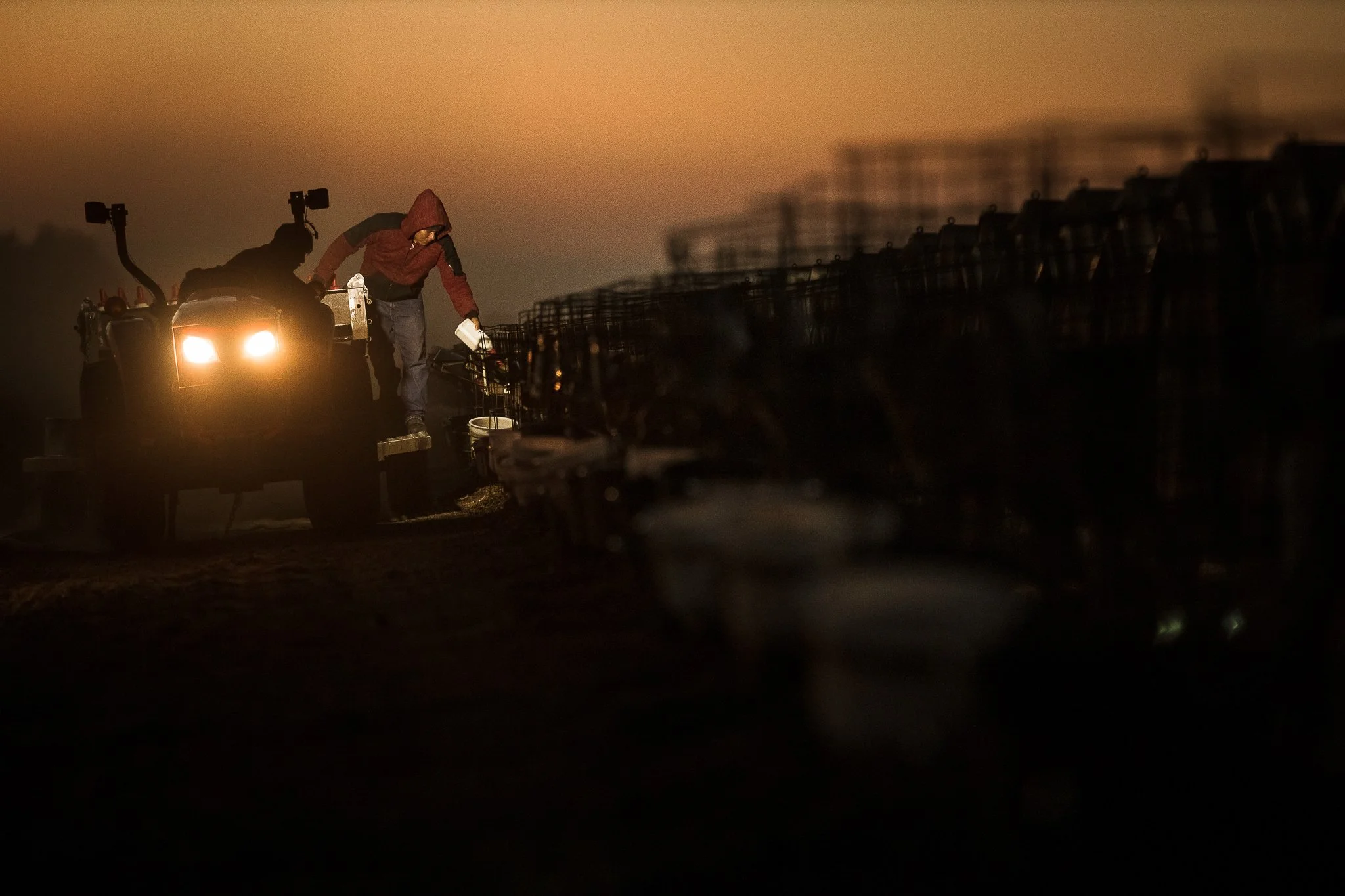 Two people working on a tractor in a farm during dawn or dusk, with a line of carts or bins extending into the distance.