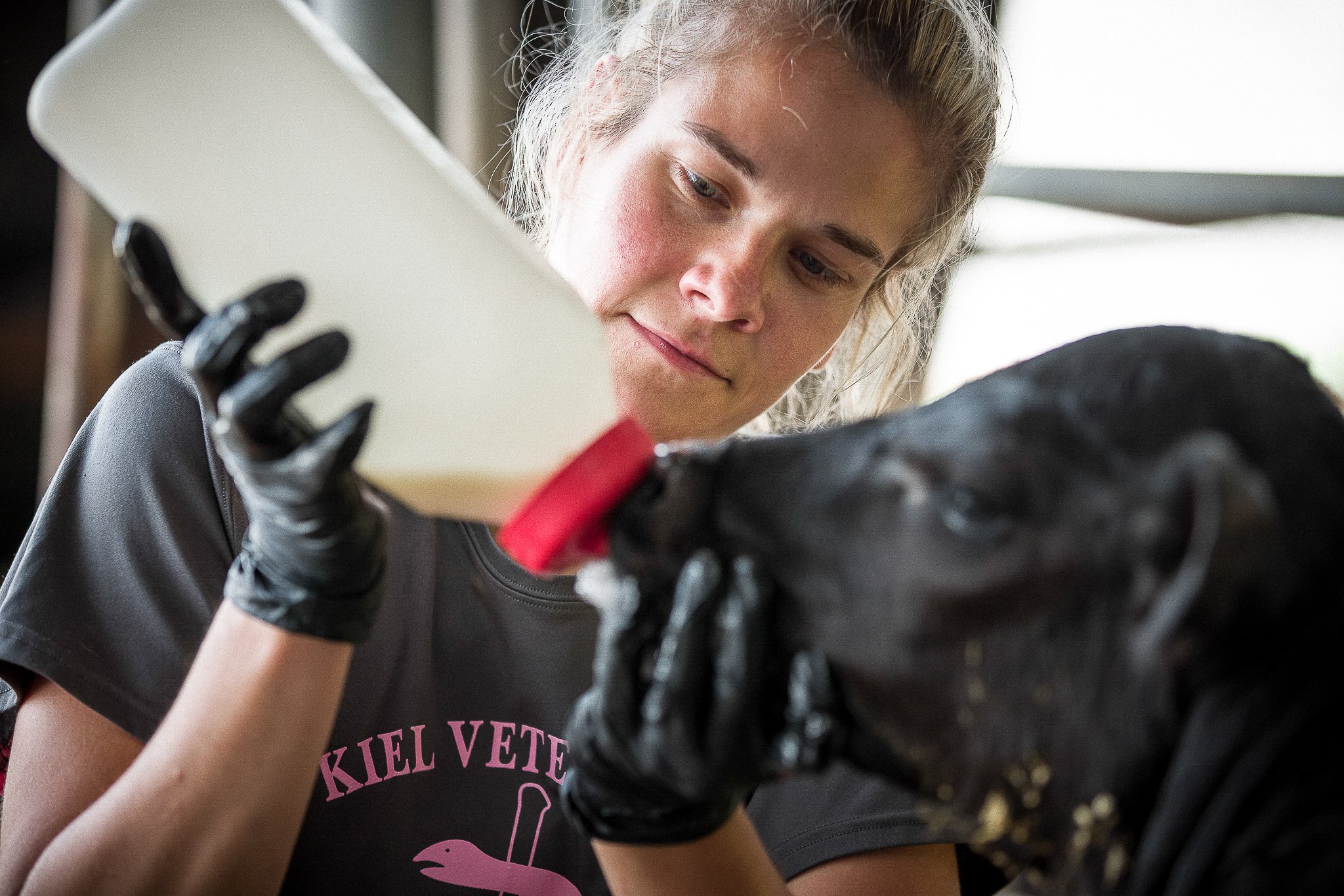 A young woman in black gloves gently feeding a black dog with a syringe or bottle indoors.