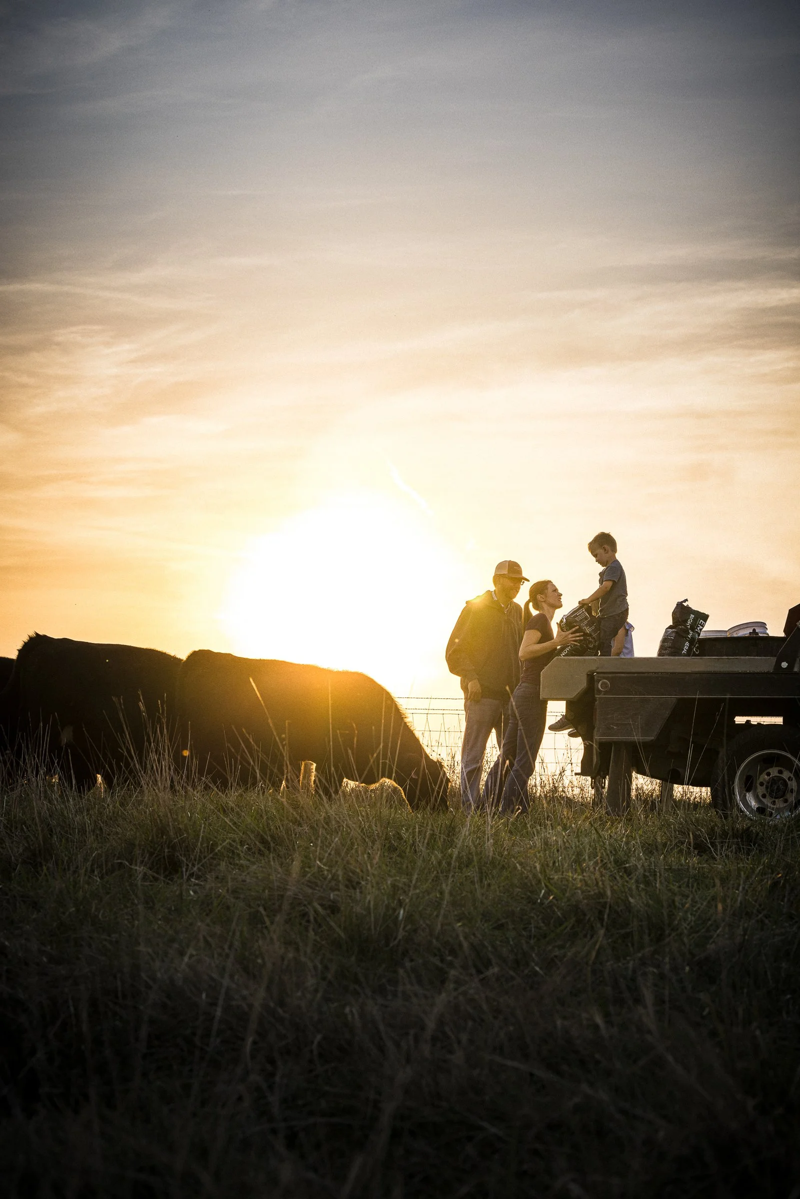 A family of three, including a man, woman, and boy, standing beside a trailer on a grassy field at sunset, with cows grazing nearby.