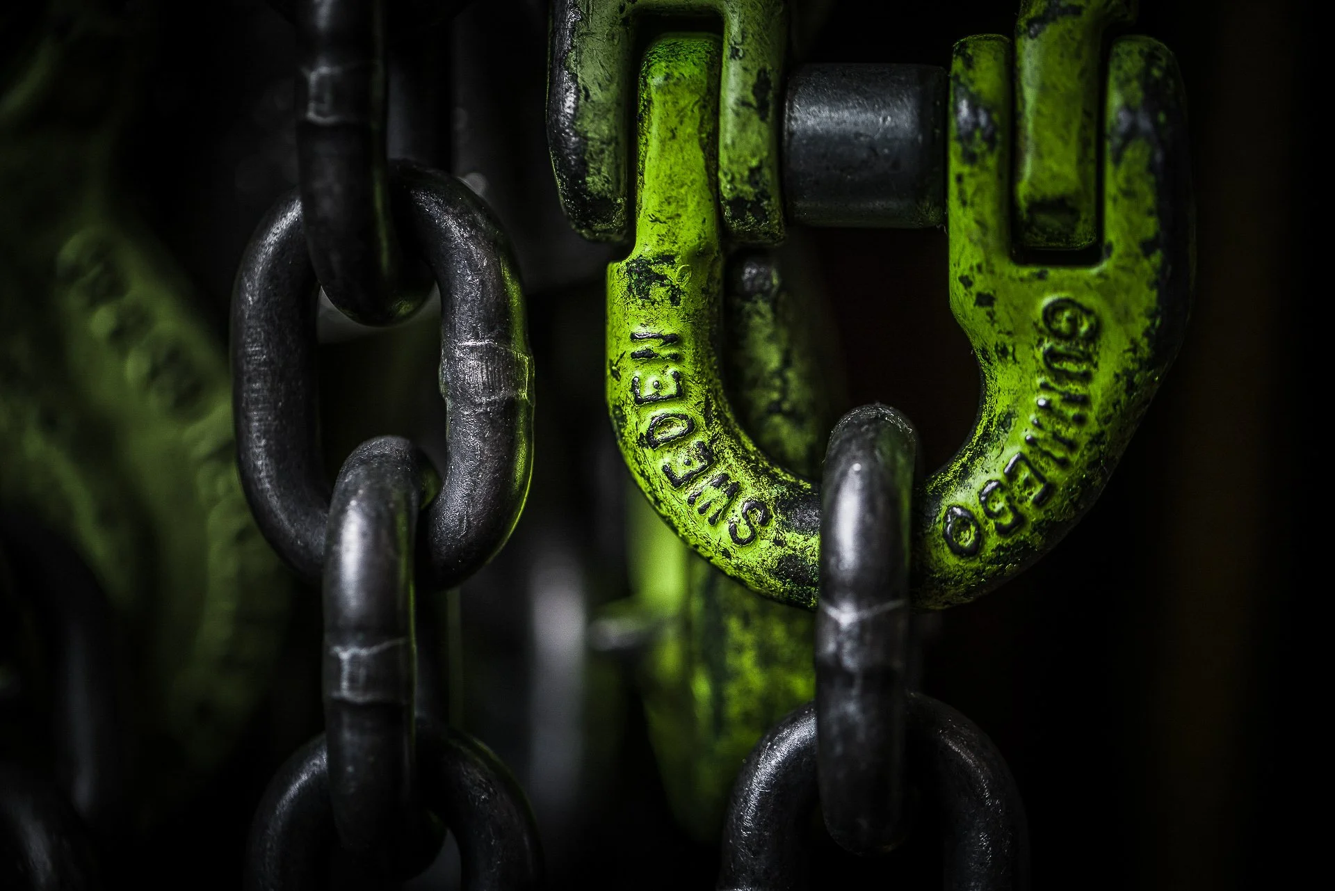 Close-up of a green and black metal chain link with the words 'Secure' and 'Stainless Steel' engraved on it, showing signs of wear and weathering.