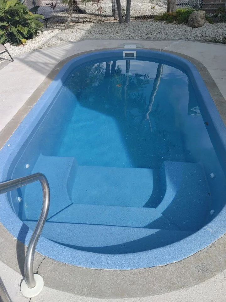 A small in-ground swimming pool with blue interior, steps at one end, and a metal handrail, situated outdoors on a concrete deck with surrounding plants and a gravel area.
