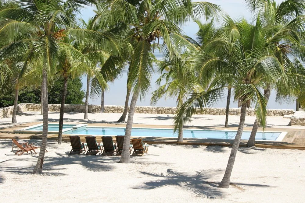 Beachside swimming pool surrounded by palm trees, with empty lounge chairs on sandy ground.
