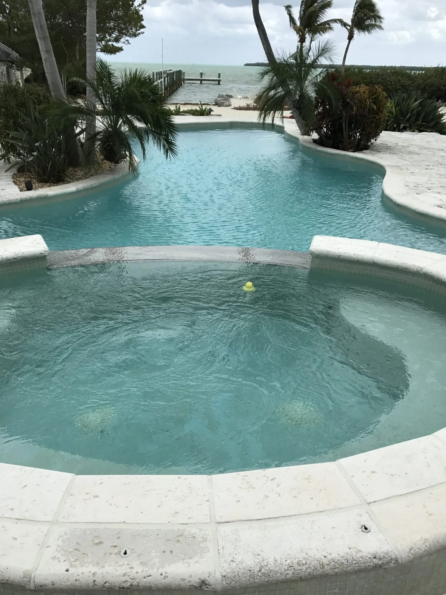 A swimming pool surrounded by tropical plants, with a view of the ocean and a wooden pier in the background.