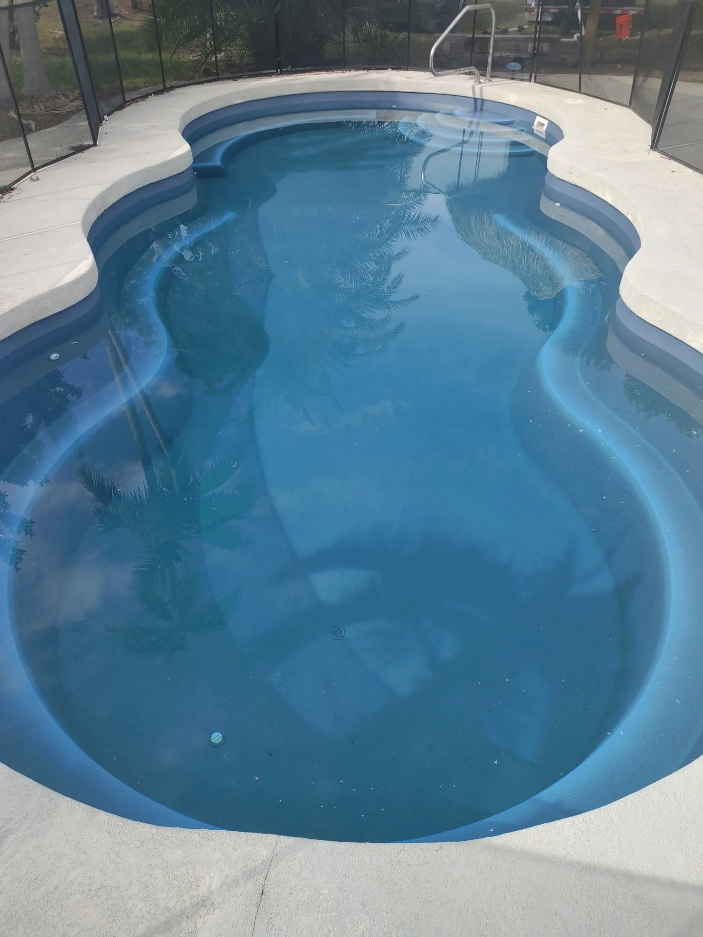 A backyard swimming pool with a freeform shape, surrounded by a white concrete deck, enclosed by a screen enclosure, with clear blue water reflecting nearby trees.