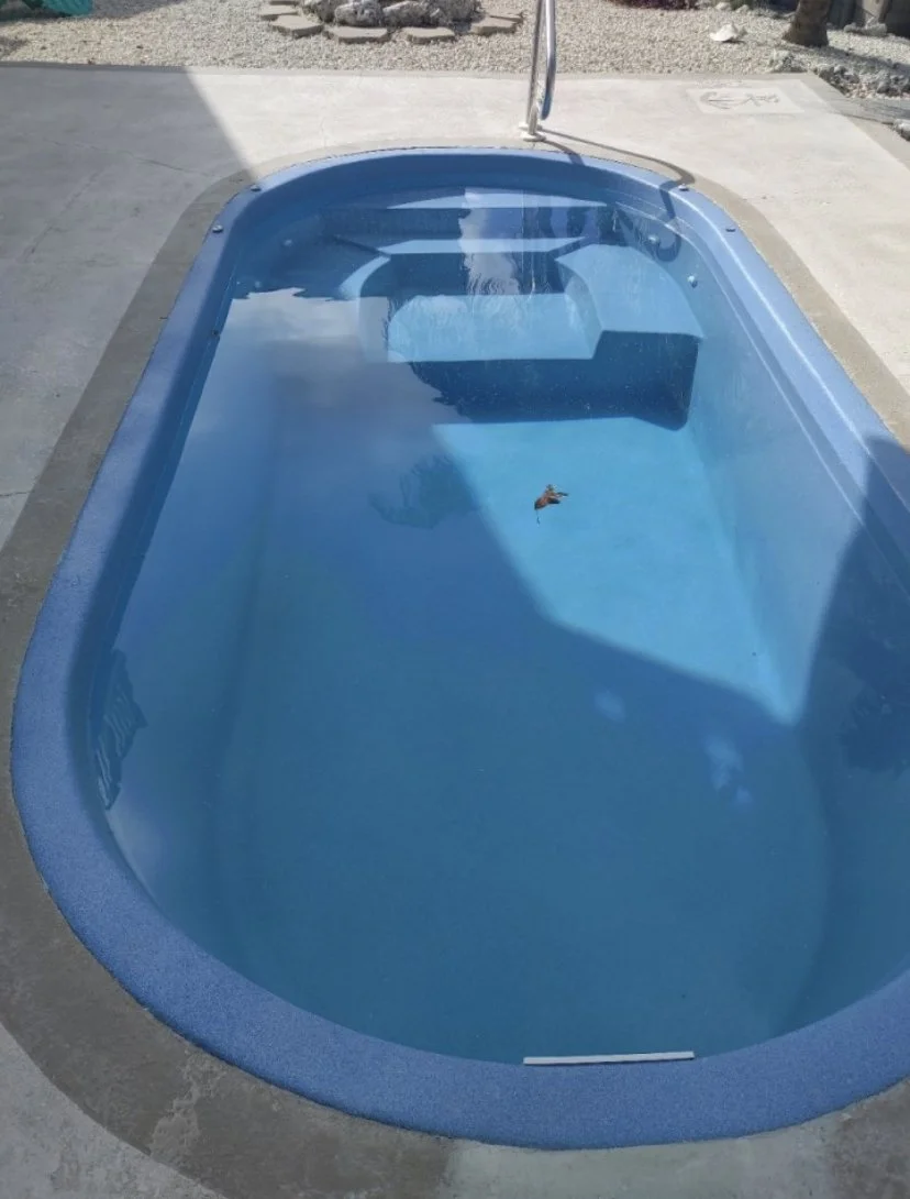 Empty blue kiddie pool on concrete patio with a small floating toy and a shadow cast over part of it.