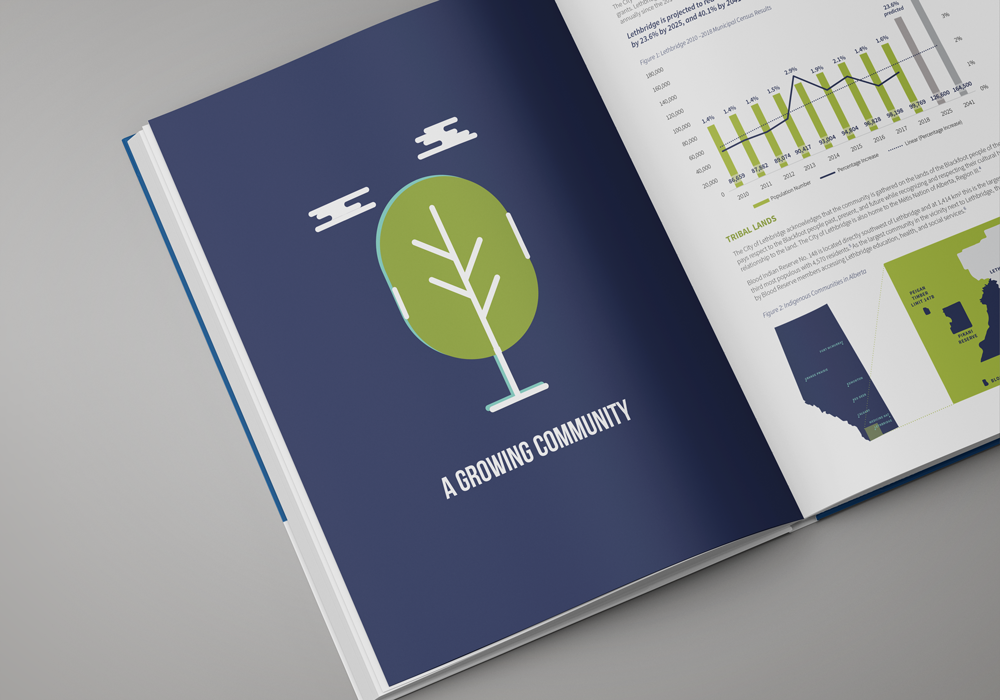 Lethbridge Community Wellbeing Strategic Plan