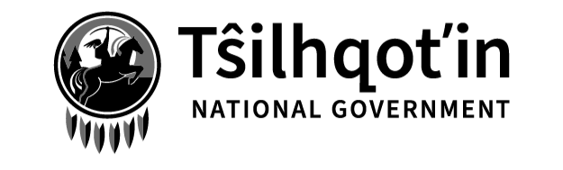 A black and white logo featuring a stylized face with a helmet and a beard, accompanied by the text 'The Punisher'.