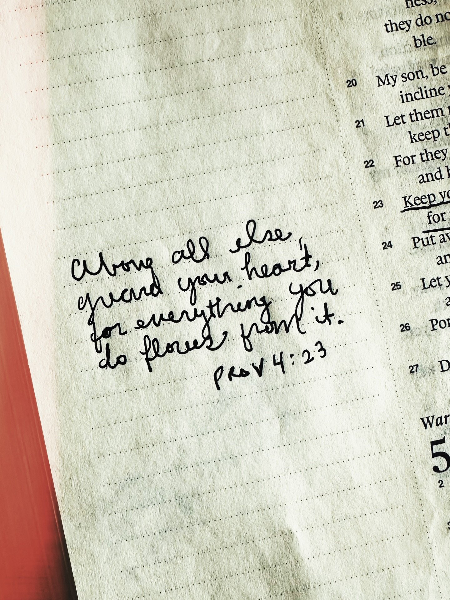 A little reminder today&hellip; 
guard your heart. 💛 
It shapes everything.

#truth #scriptureoftheday #proverbs423 #encouragement #faithoverfear