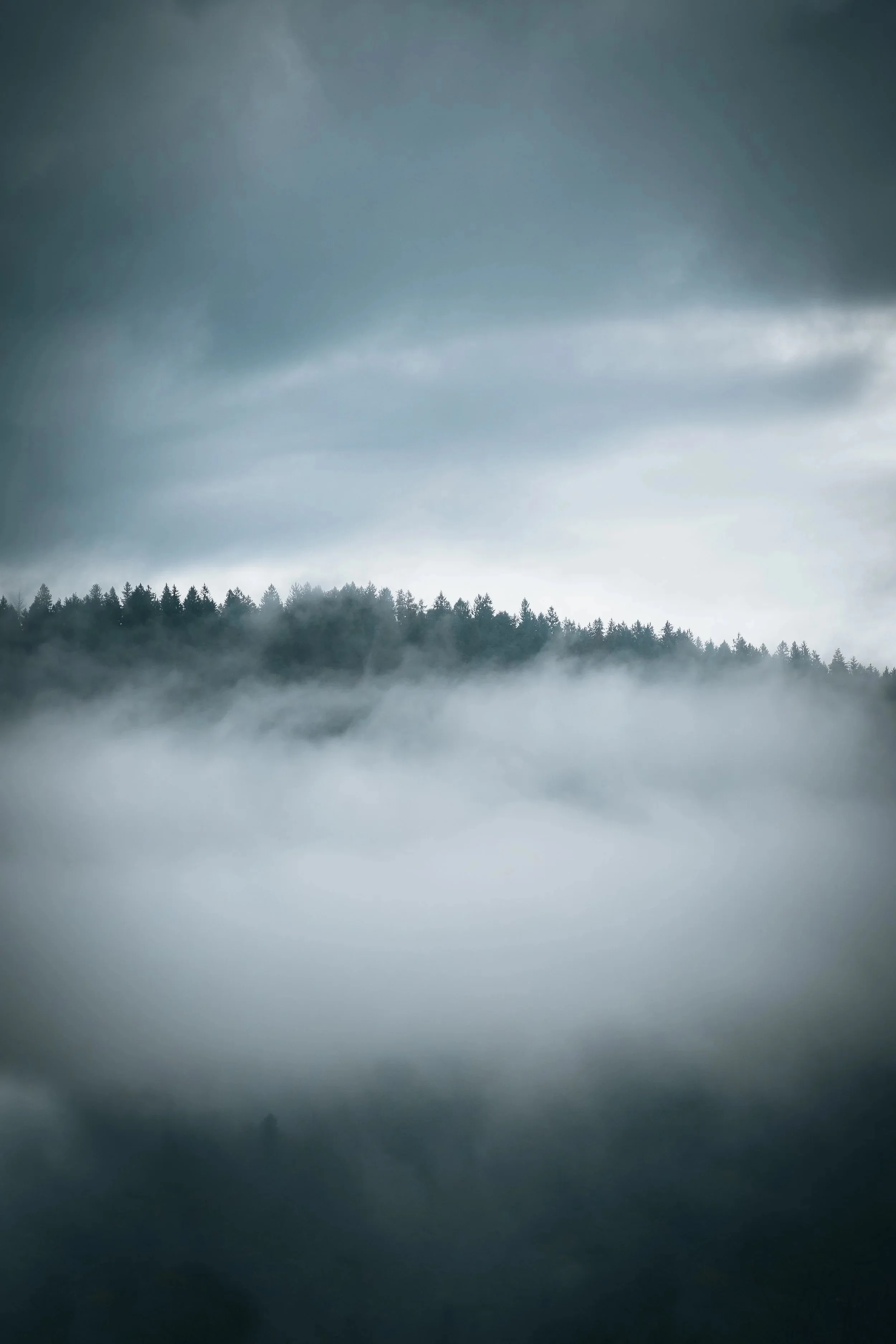 Paesaggistica e Natura