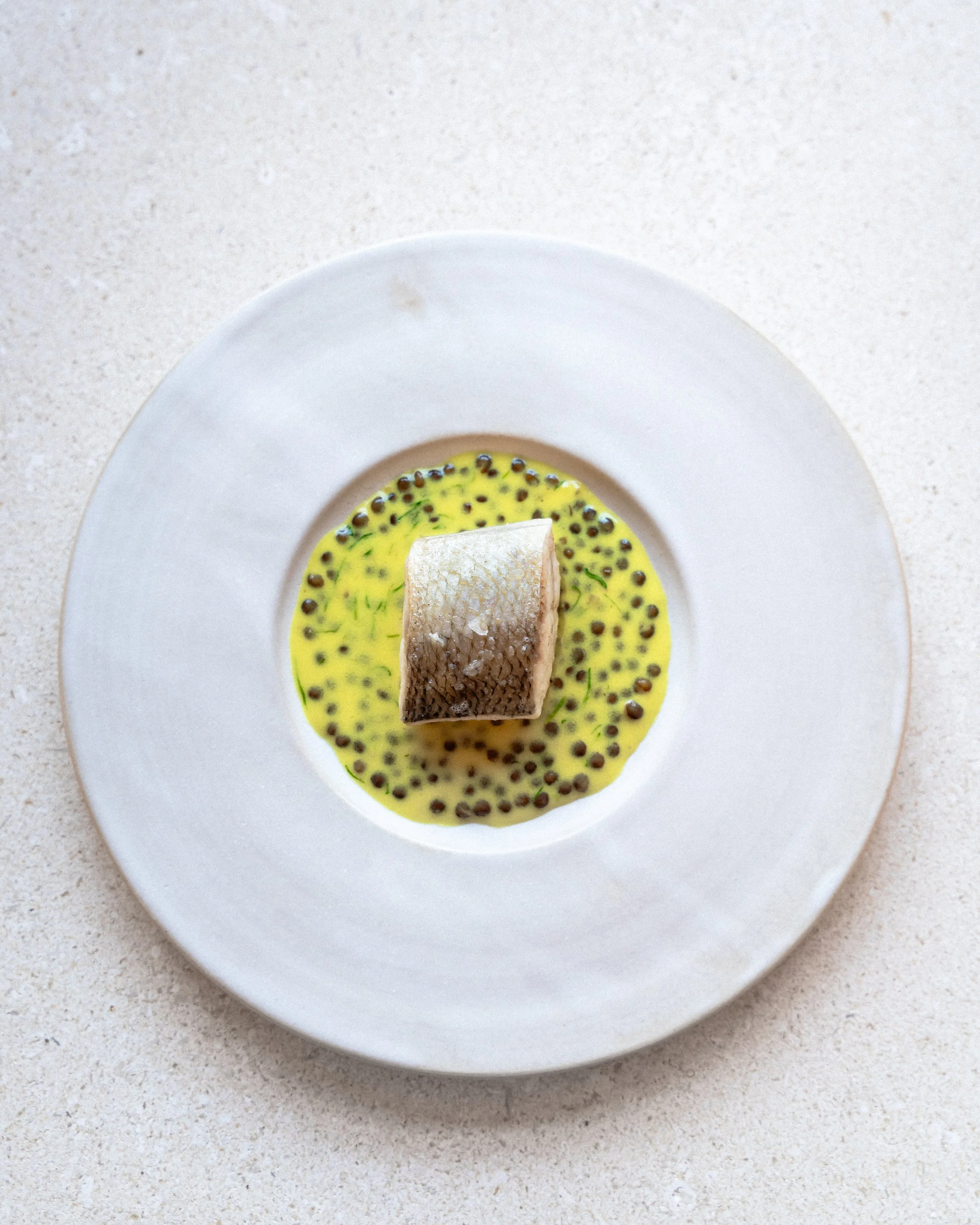 Abba, Lavarello - Milano 2025