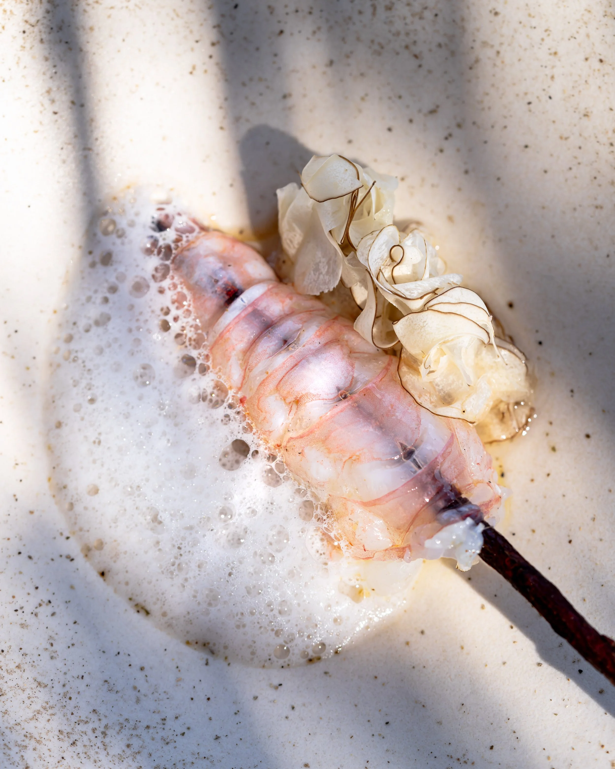 Cracco, Scampo - Portofino 2025