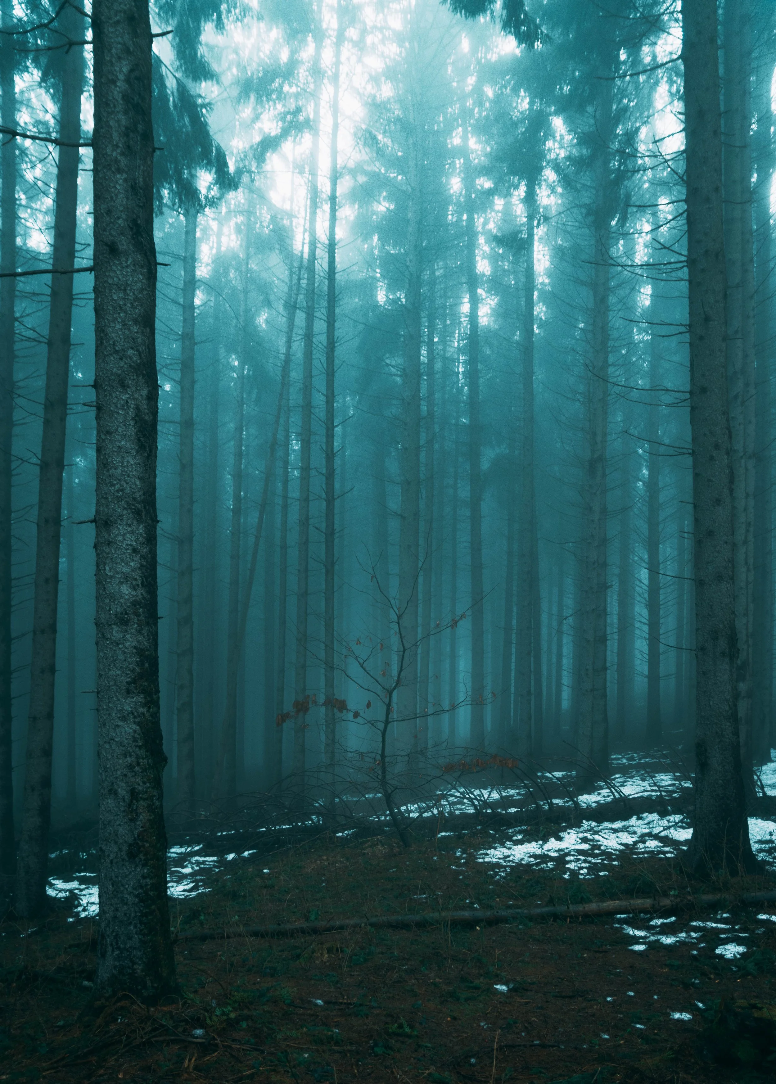 DSC_0007.png - Diverso.jpg