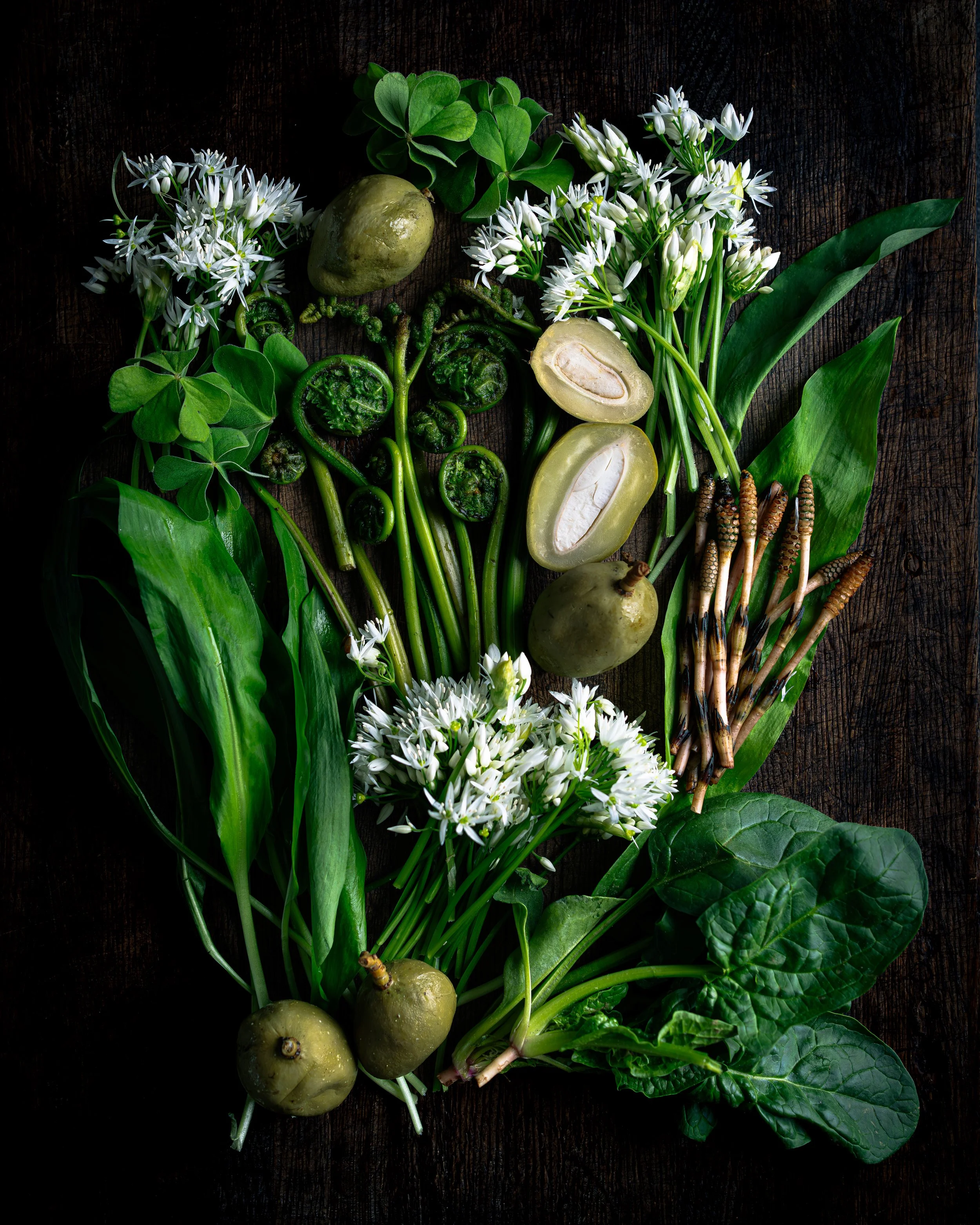 Abitat, Foraging - Como 2024