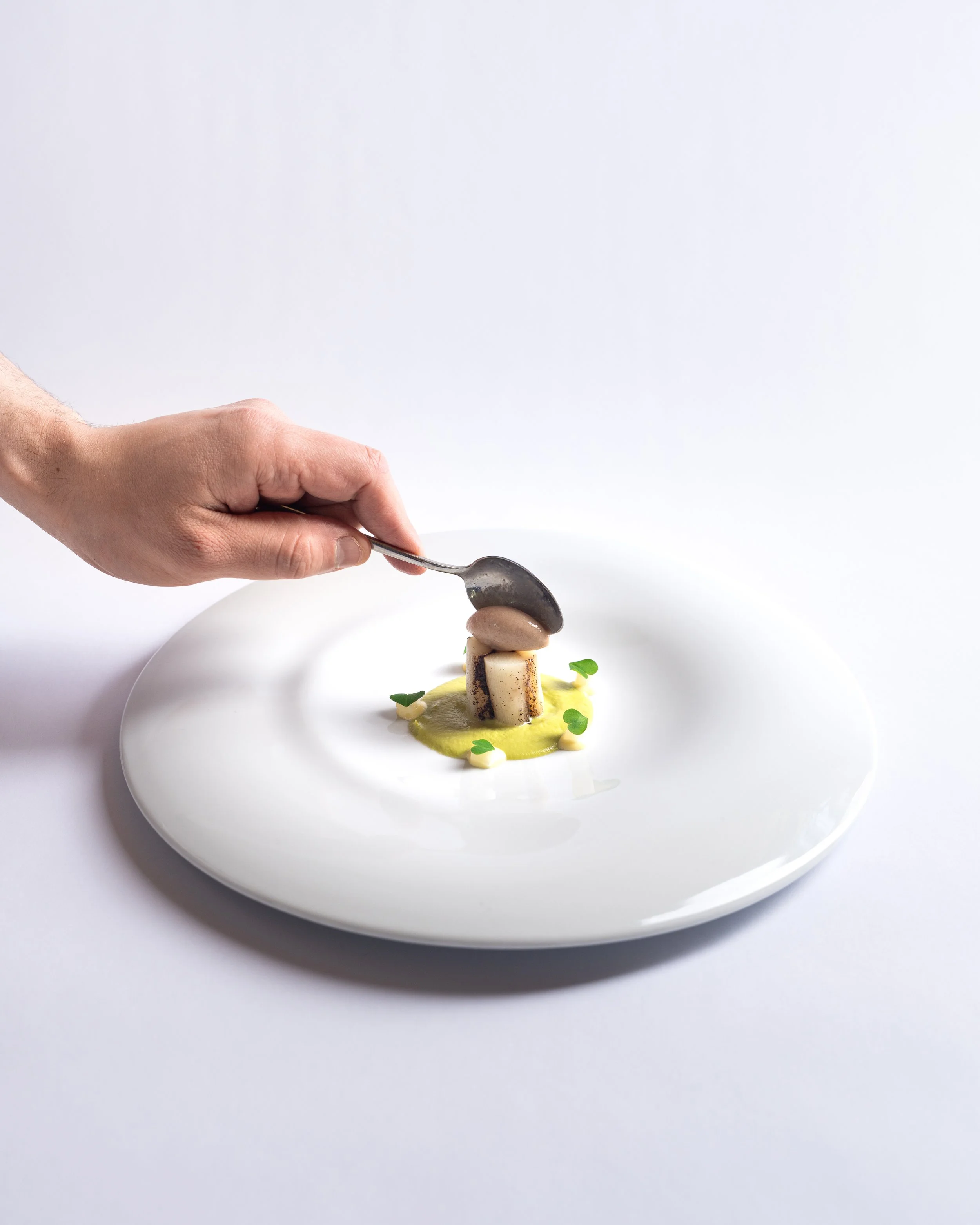 Kitchen, Asparago - Como 2026