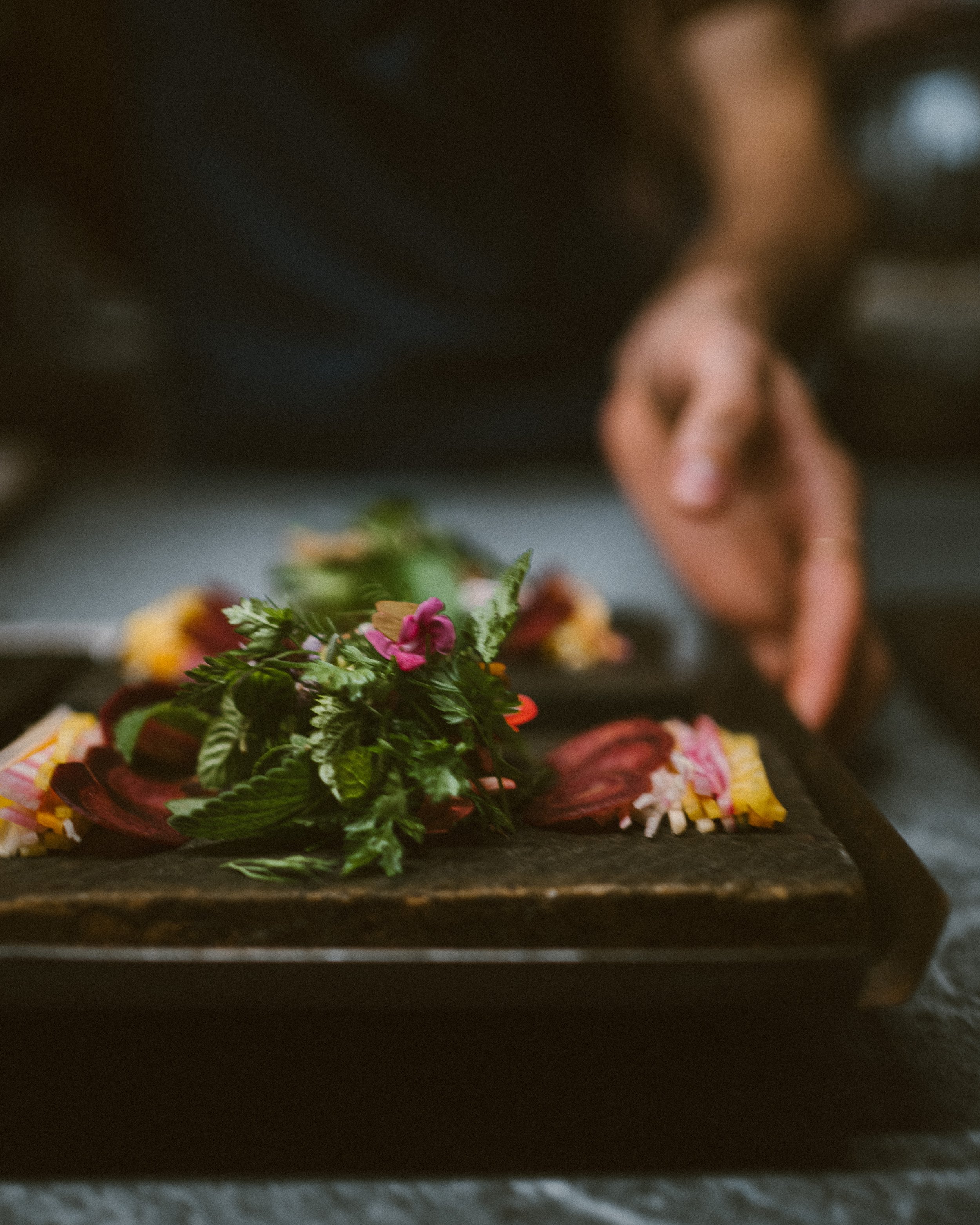 Altatto, Servizio - Milano 2025