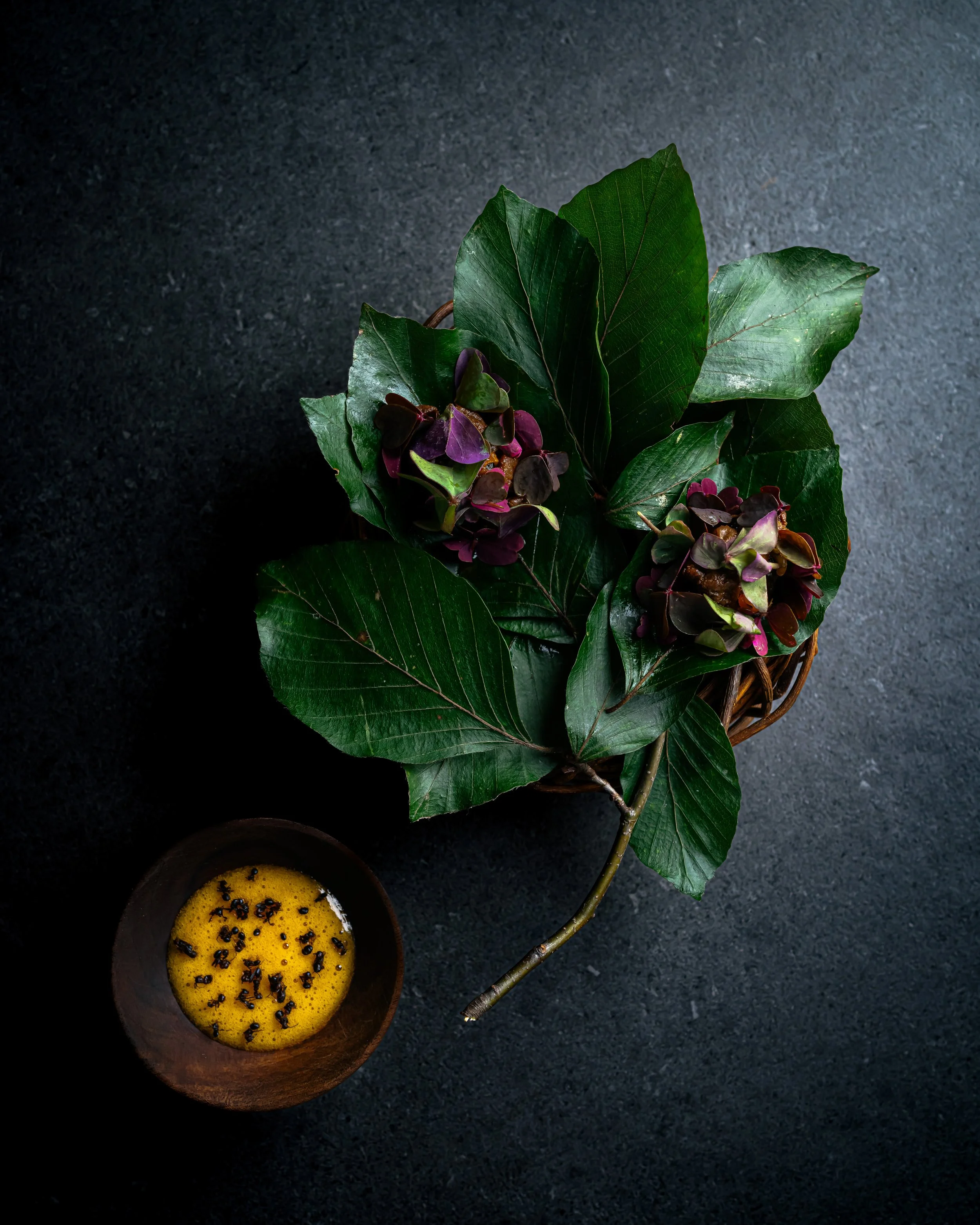 Abitat, Capriolo - Como 2024