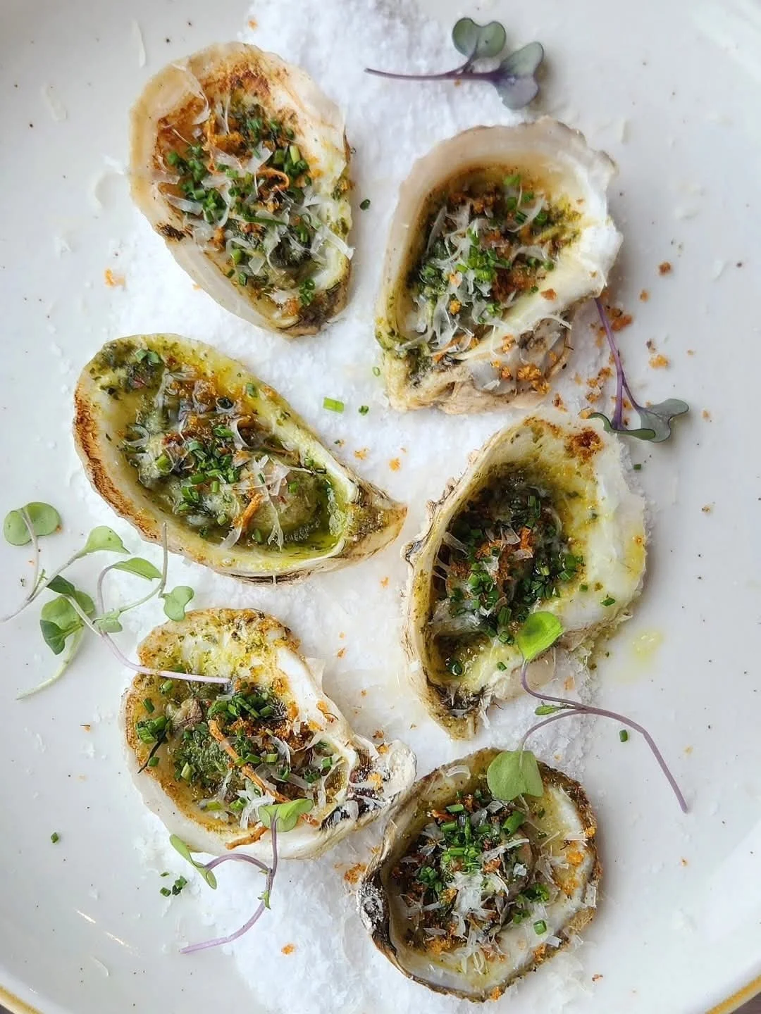 We have a couple fabulous weekly specials to kick off summer right ☀️

Grilled Gulf Oysters - Matagora Pearl Oysters (Palacios, TX), Chimichurri, butter. Topped with Parmesan, breadcrumbs, and chives. 

Key Lime Pie Cheescake - vanilla cookie crust, 