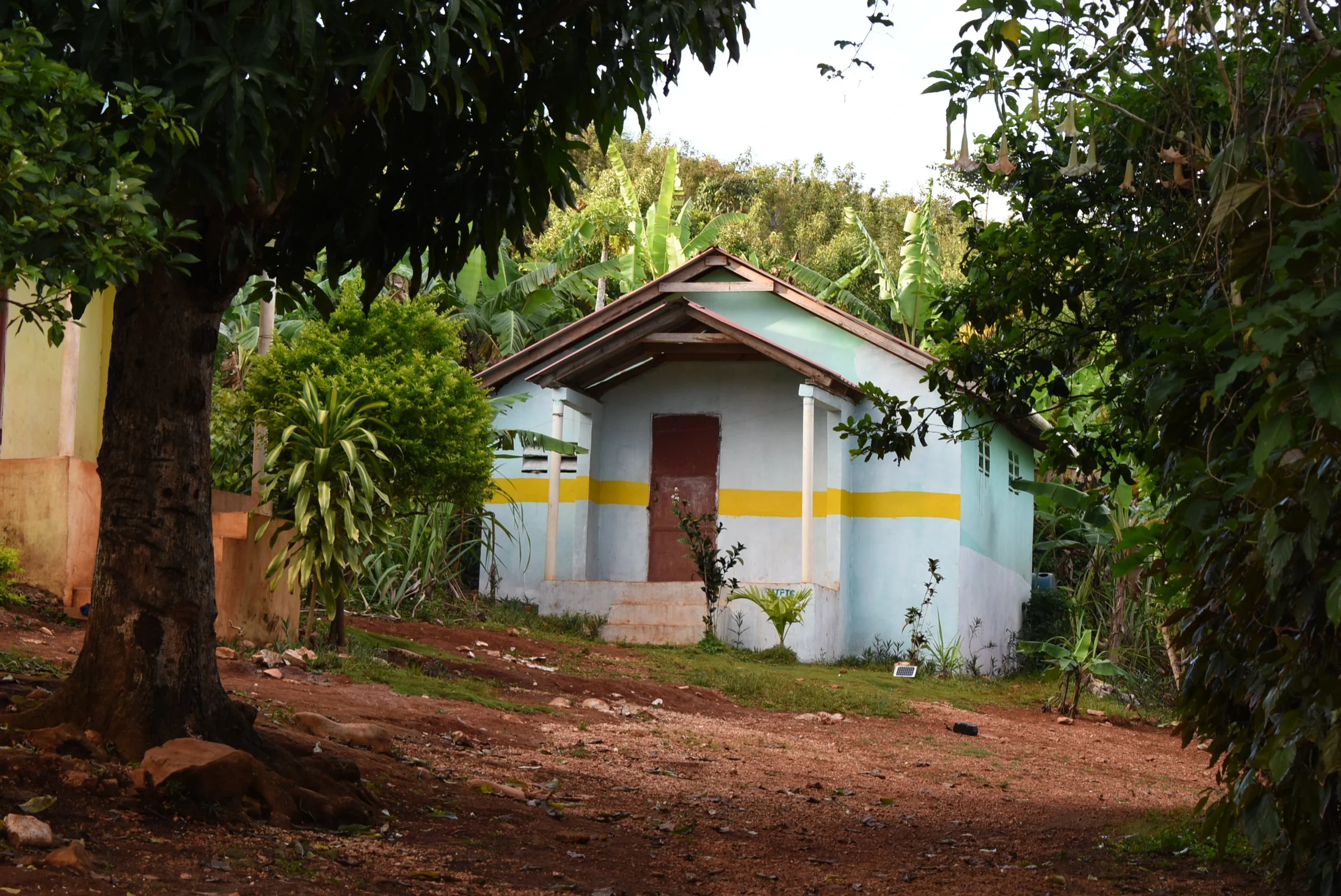 A small house with a yellow stripe on its pale blue walls, surrounded by green trees and plants, on a dirt ground.