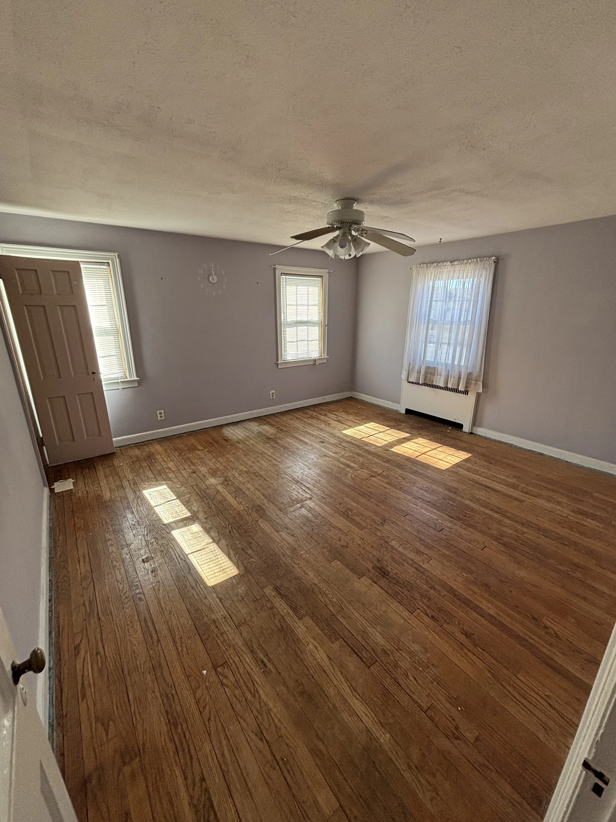 Empty living room with hardwood floors, purple walls, ceiling fan, three windows with blinds and curtains, and an open door.