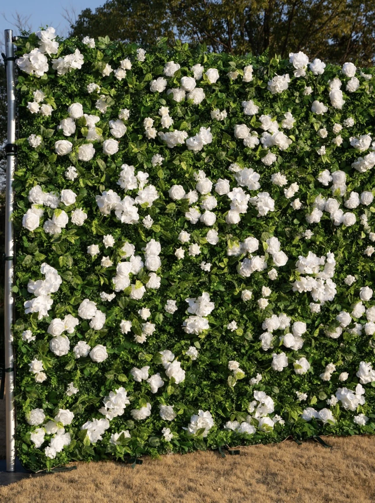A large outdoor wall covered with white flowers and green leaves, with a partial view of a metal pole on the left side and a grassy area at the bottom.