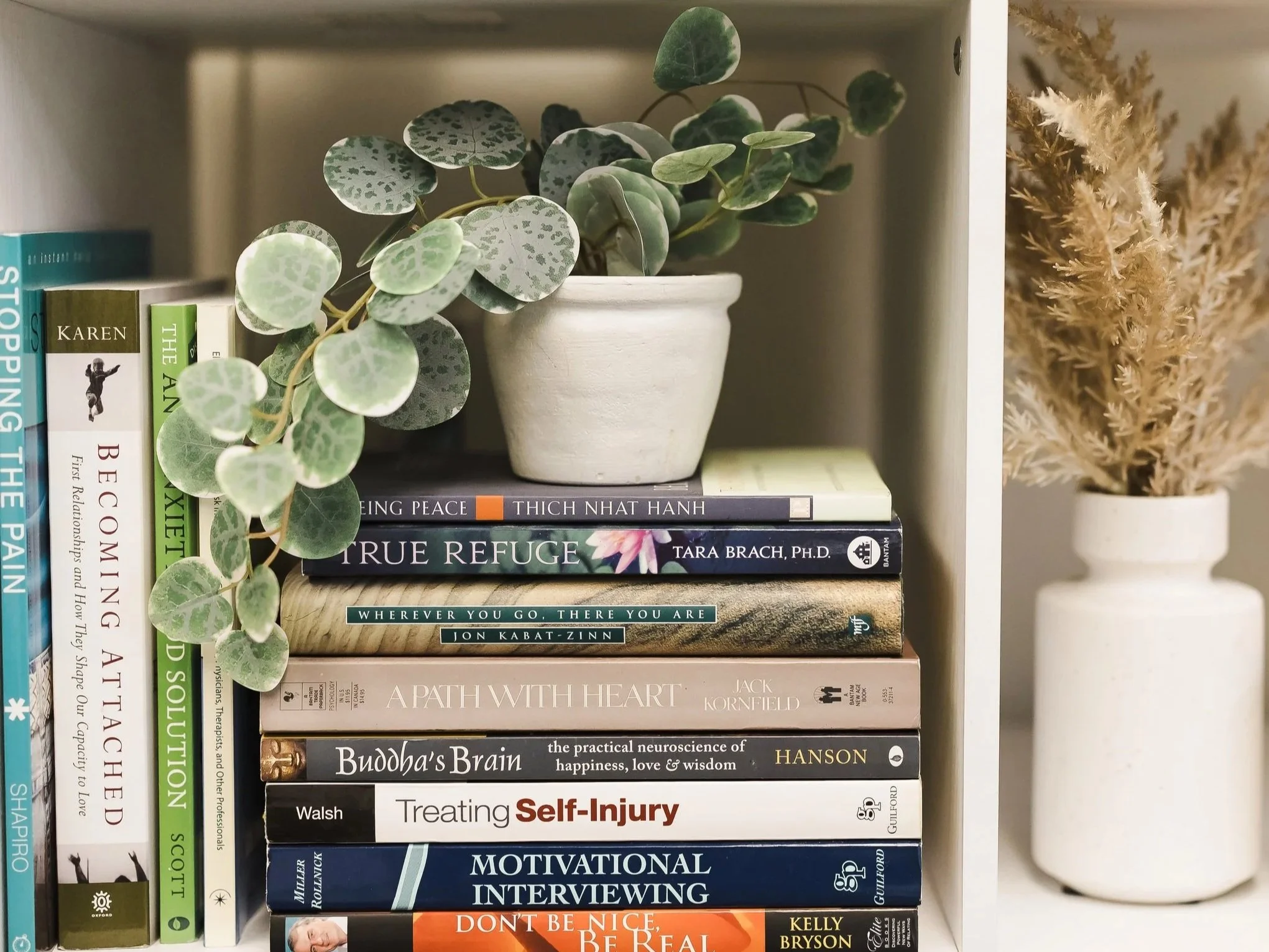 Picture of a shelf in the Therapy office with books on healing, nervous system and a plant