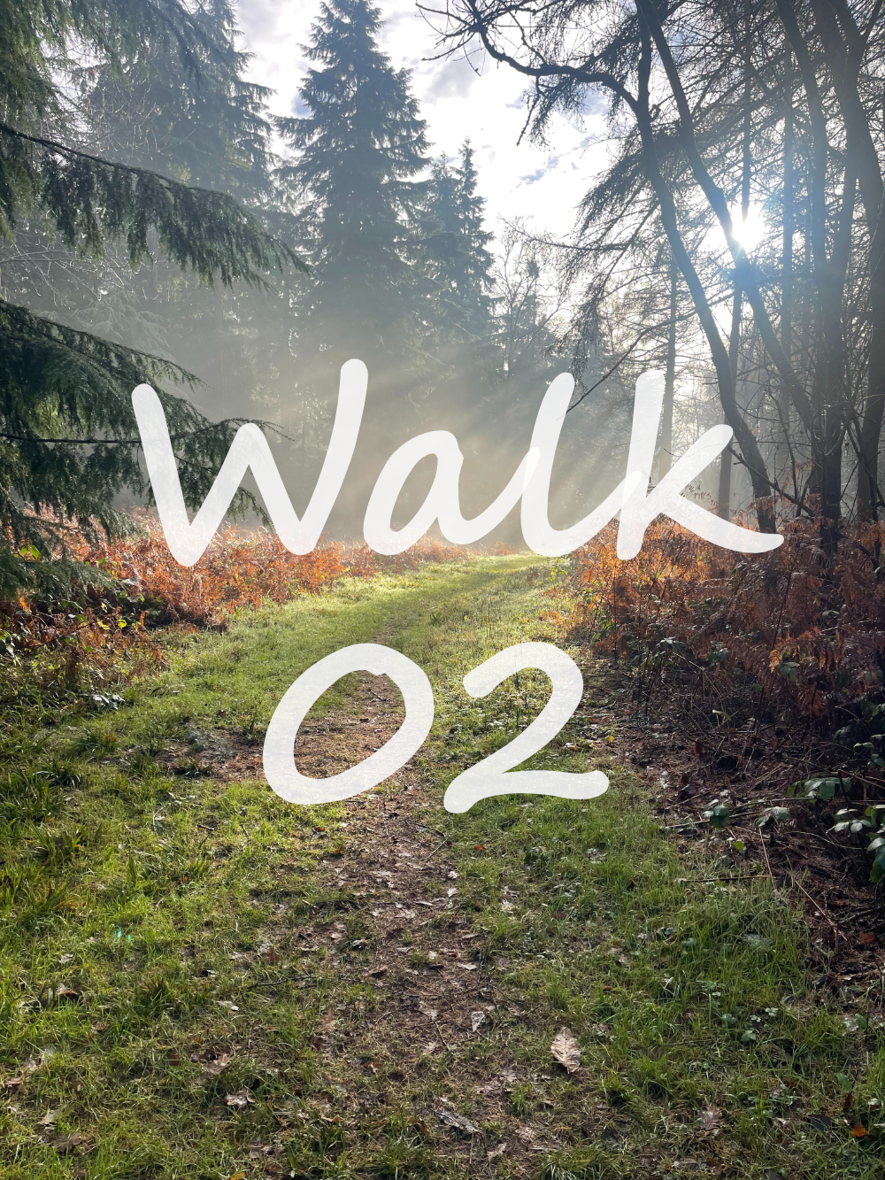 Walk 2: Happy Valley, Marlow Common, Homefield Wood, Davenport Wood