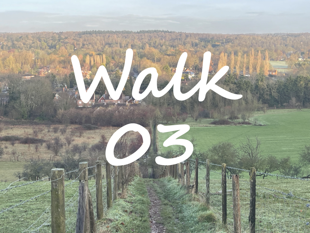 Walk 3: Hurley, Ashley Hill, Thames