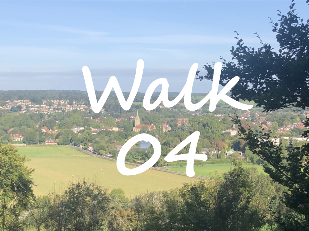 Walk 4: Marlow and Bisham Woods