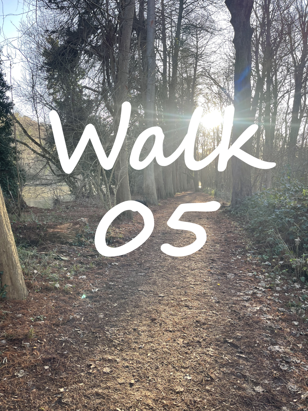 Walk 5: Cookham and Boulters Lock