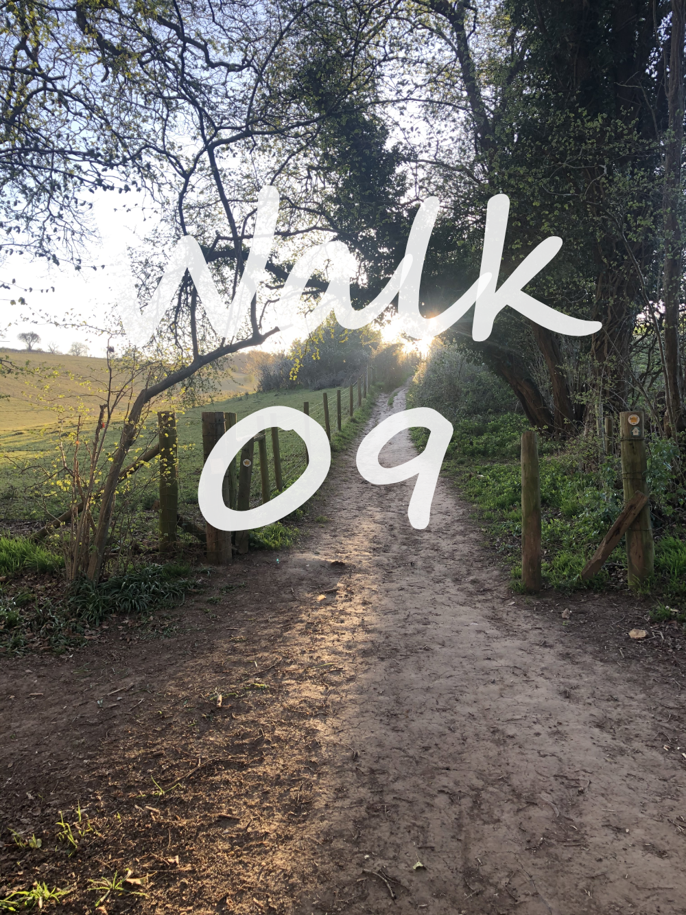 Walk 9: Medmenham, Bockmer and Pullingshill Wood