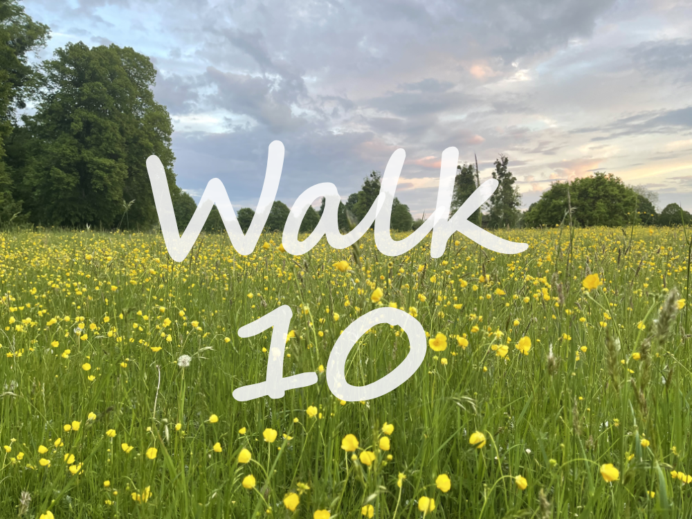 Walk 10: Marlow, Harleyford and Pullingshill Wood