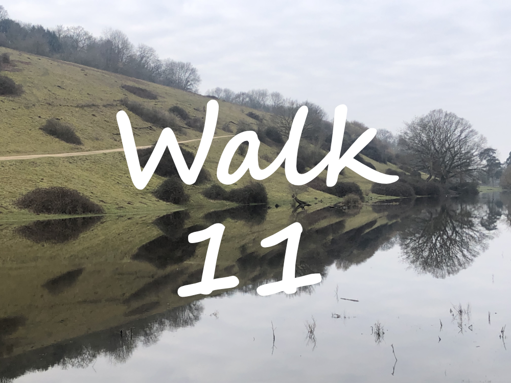 Walk 11: Marlow, Winter Hill, Bourne End