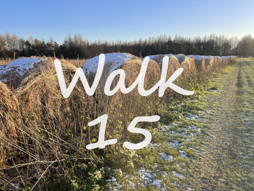 Walk 15: Hambledon and Rotten Row