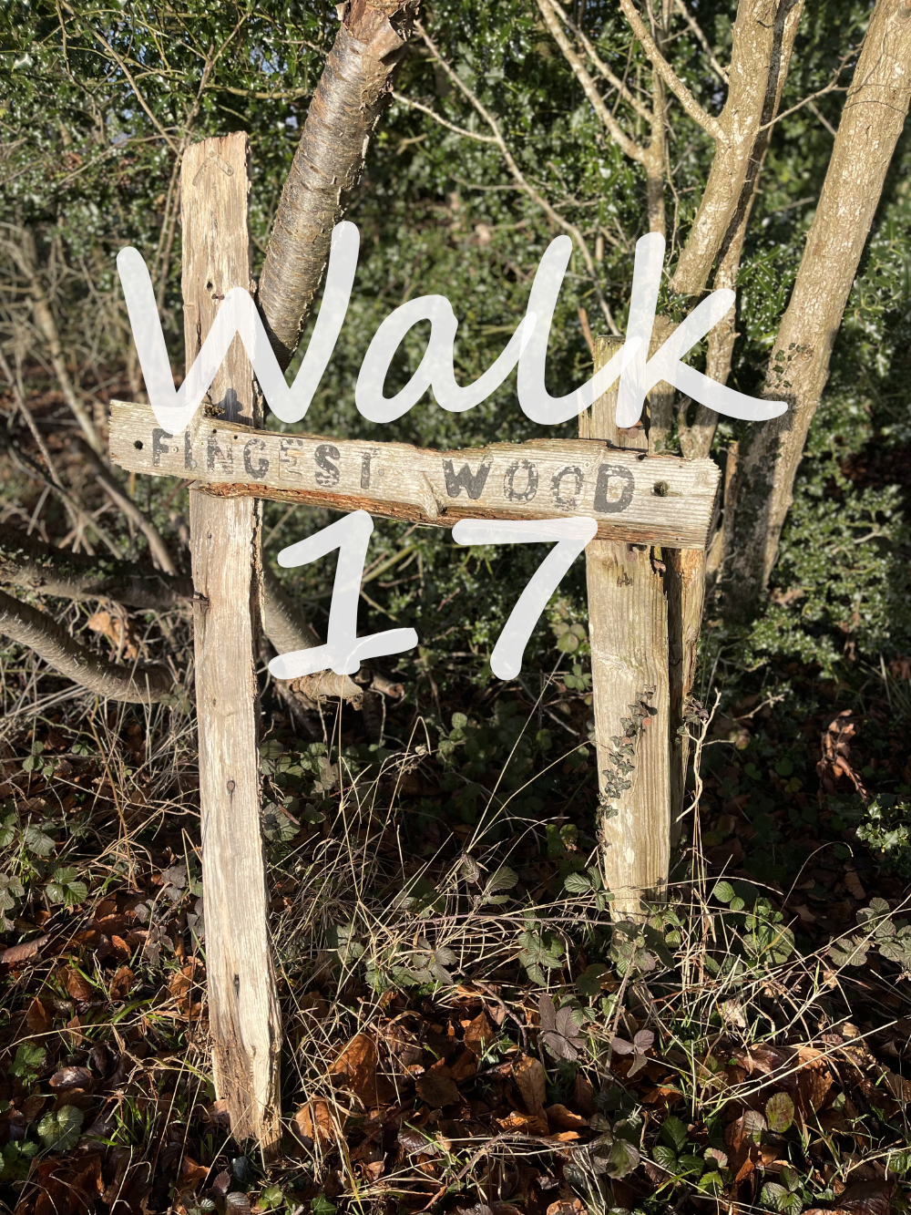 Walk 17: Fingest, Turville and Skirmett