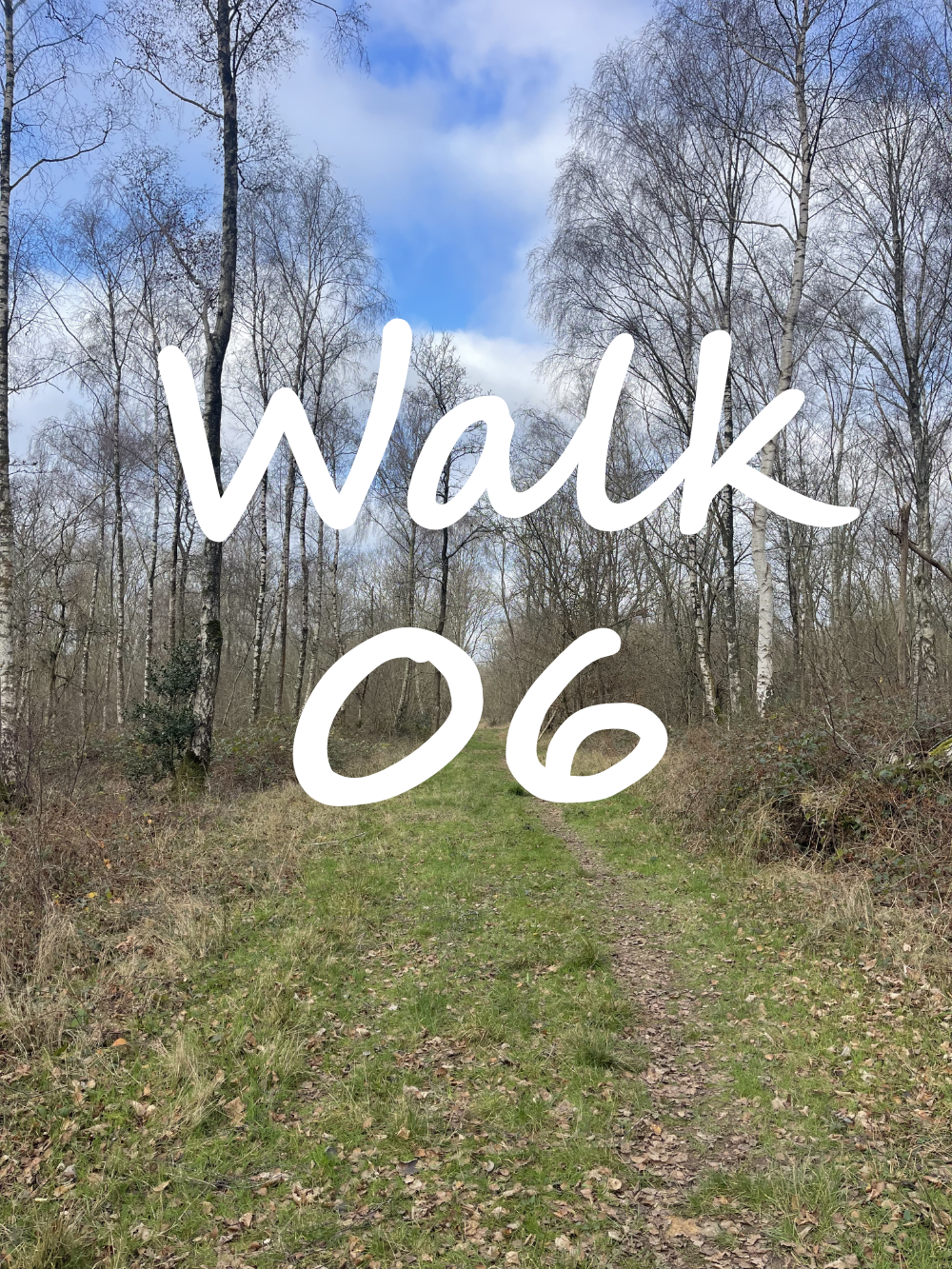 Walk 6: Spade Oak, Little Marlow, Bloom Wood