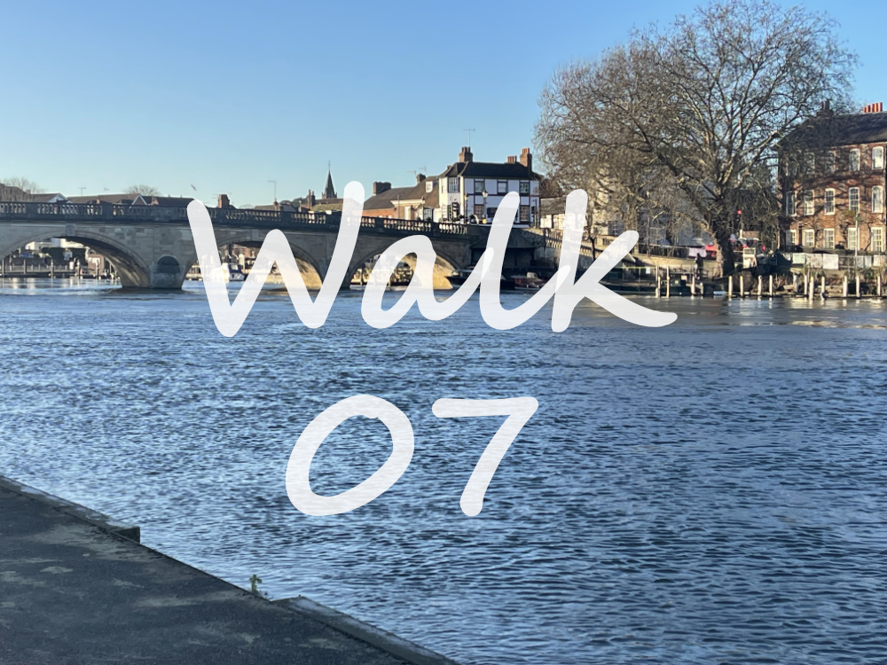 Walk 7: Hambledon Weir, Aston, Remenham