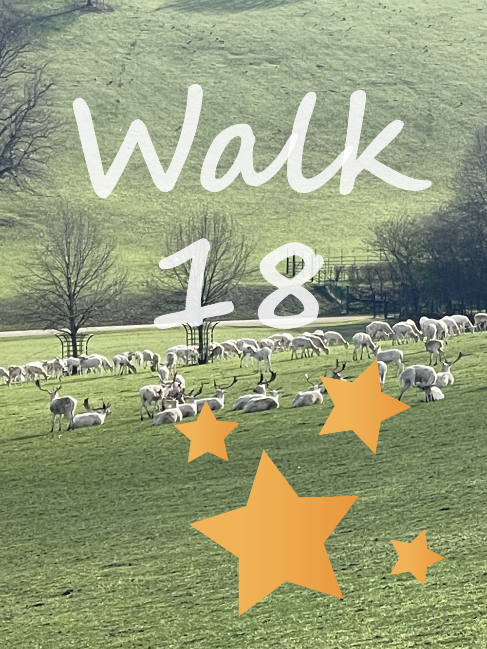 Walk 18: Henley and Culham Court