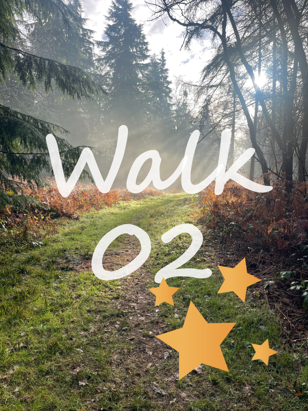 Walk 2: Happy Valley, Marlow Common, Homefield Wood, Davenport Wood (Copy)