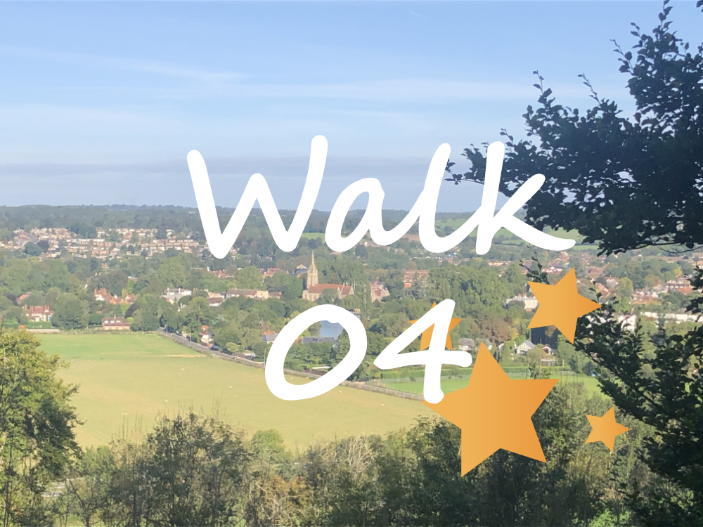 Walk 4: Marlow and Bisham Woods