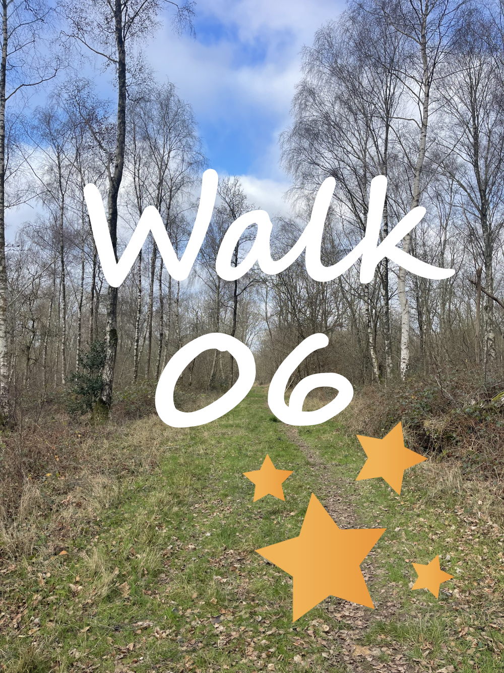 Walk 6: Spade Oak, Little Marlow Bloom Wood