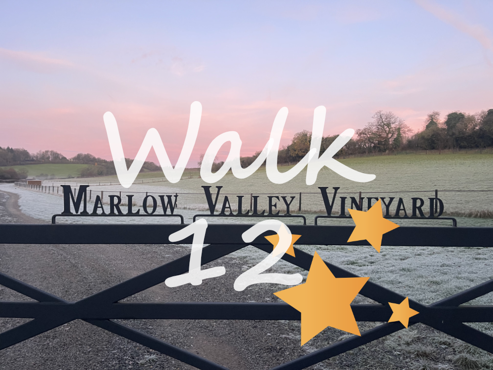 Walk 12: Mundaydean, Marlow Common, Bovingdon Green