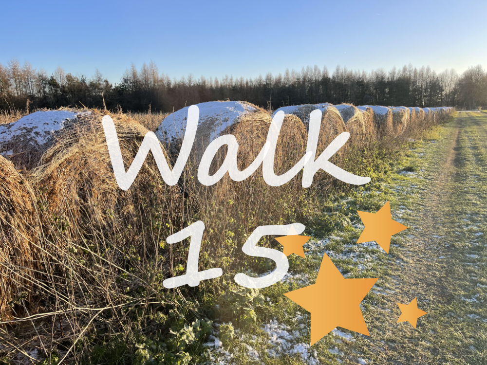 Walk 15: Hambledon and Rotten Row