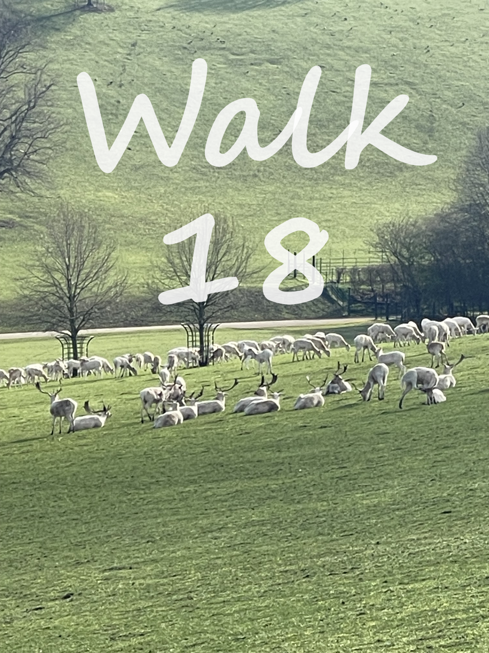 Walk 18: Henley and Culham Court