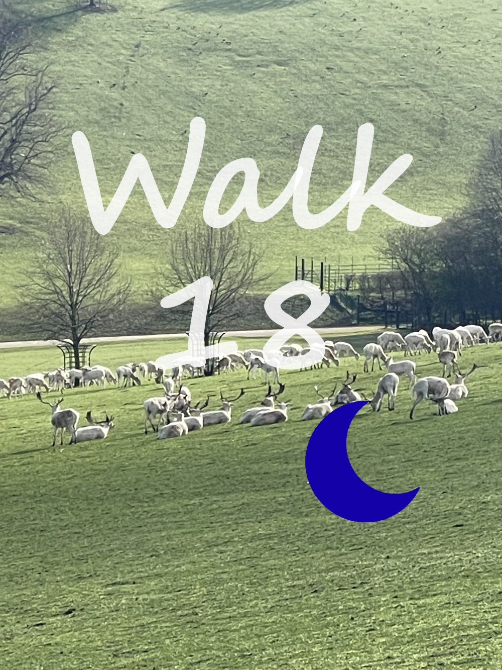 Walk 18: Henley and Culham Court