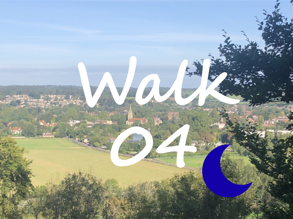 Walk 4: Marlow and Bisham Woods