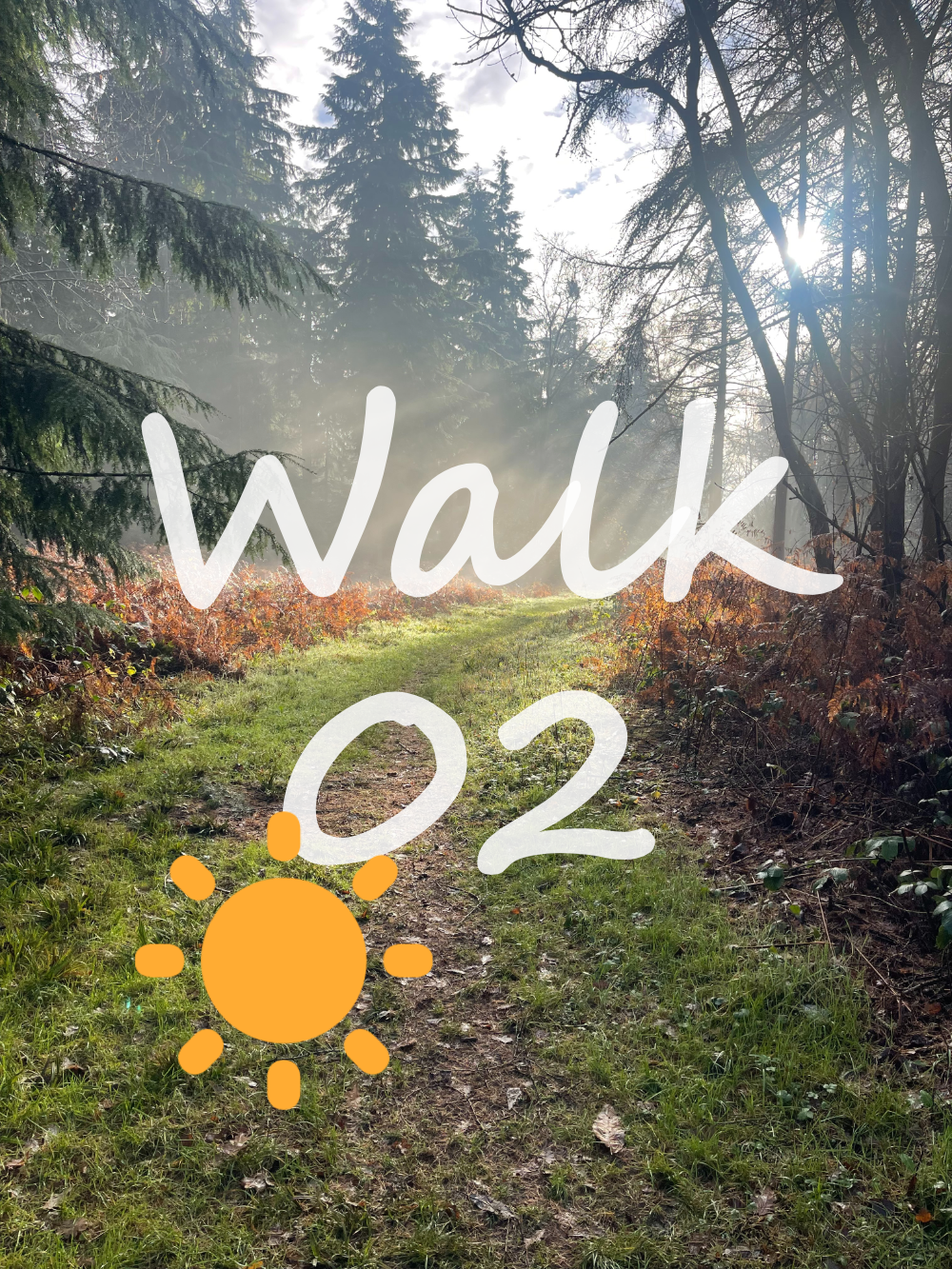 Walk 2: Happy Valley, Marlow Common, Homefield Wood, Davenport Wood