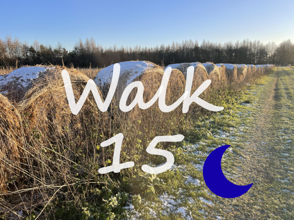 Walk 15: Hambledon and Rotten Row